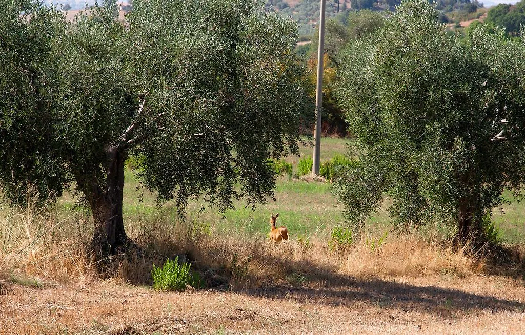 Agriturismo Prati degli Orti-1